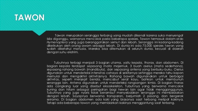 Teks lho dan hasil konversi ke puisi