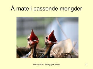 Å mate i passende mengder Marthe Moe - Pedagogisk senter 