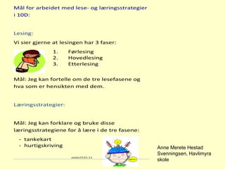 Anne Merete Hestad Svenningsen, Havlimyra skole 