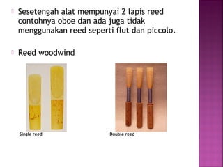 Lapis Reed Tekstur & orkestra | PPT