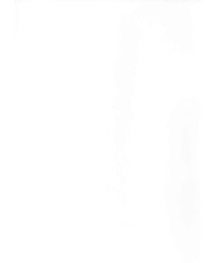 Teks Viler LIB 068 - Odmetnuti rendžer