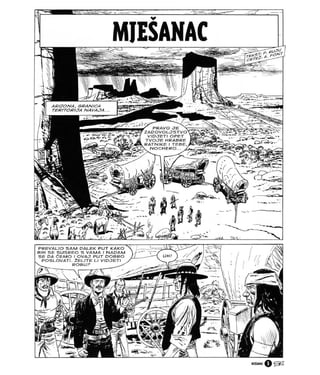 Teks Viler LIB 91 - Mjesanac