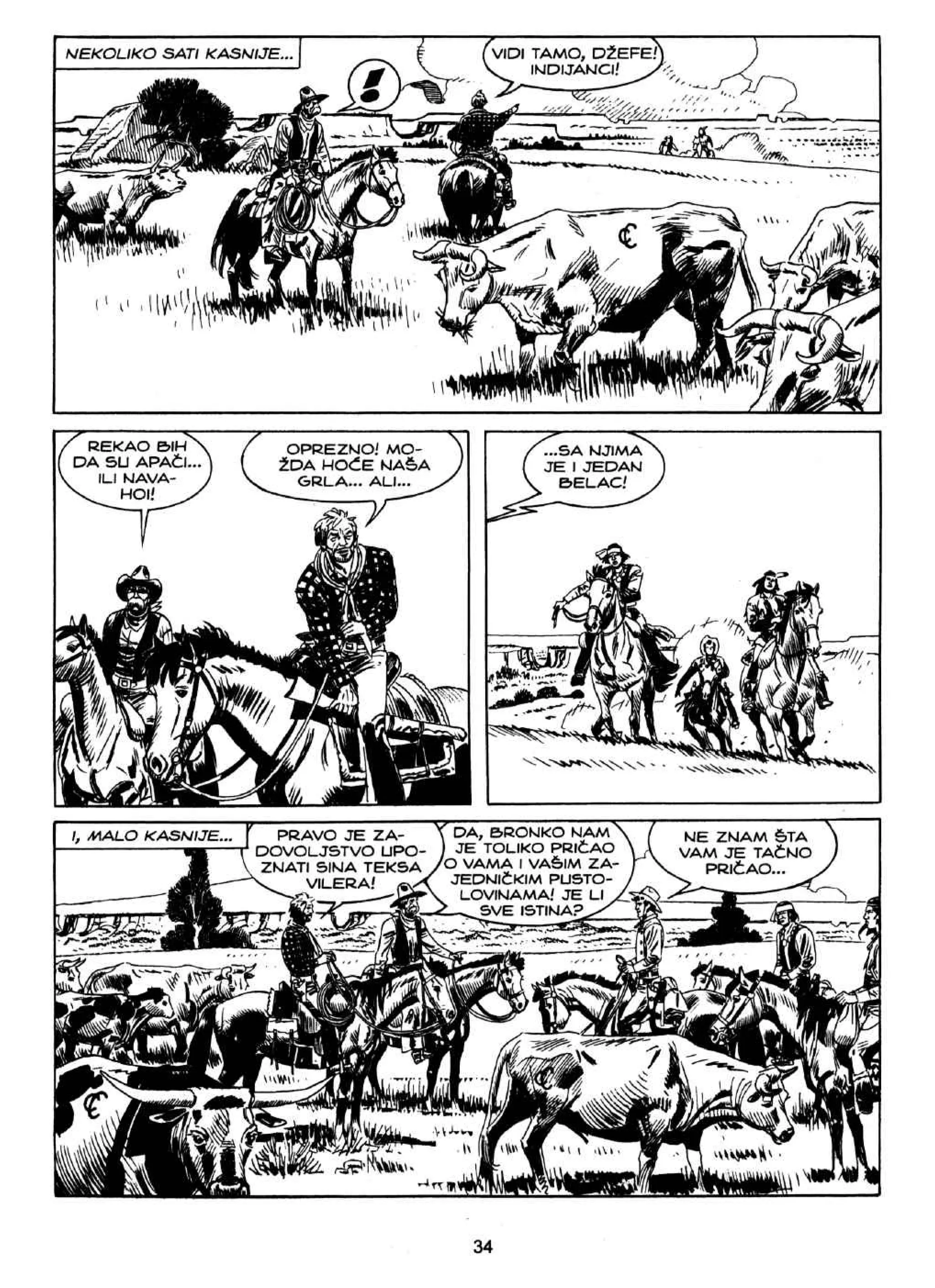 Teks Viler VC 056 - Smrt u magli