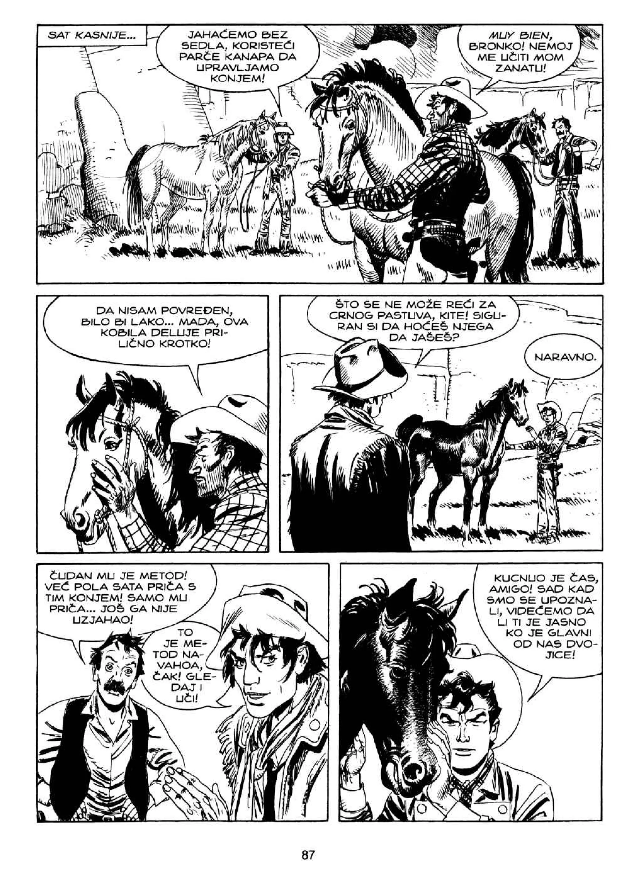 Teks Viler VC 056 - Smrt u magli