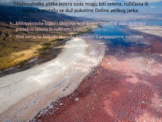 Istočnoafrička plitka jezera sode mogu biti zelena, ružičasta ili
bijela, a protežu se duž pukotine Doline velikog jarka.
• Mikroskopske biljke i životinje koje žive u ovoj vodi daju jezerima
pretežno zelenu ili ružičastu boju.
• One samo tu žive i tu je voda topla kao u prapovjesna vremena.
 