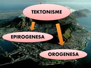 TEKTONISME
OROGENESA
EPIROGENESA
 