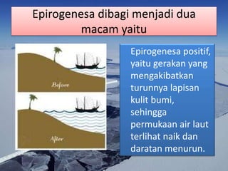 Epirogenesa dibagi menjadi dua
macam yaitu
Epirogenesa positif,
yaitu gerakan yang
mengakibatkan
turunnya lapisan
kulit bumi,
sehingga
permukaan air laut
terlihat naik dan
daratan menurun.
 