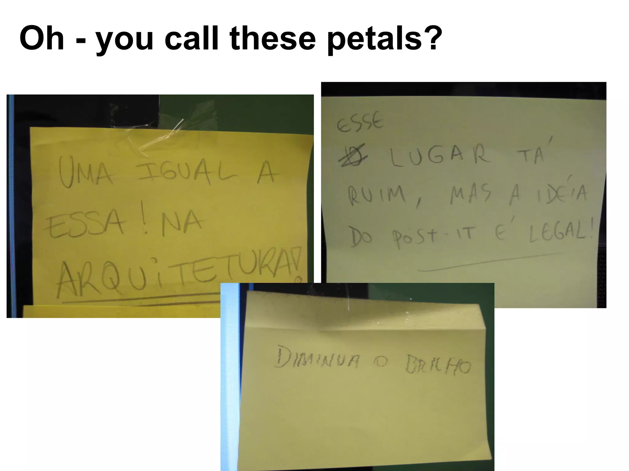 Oh - you call these petals?

*
 