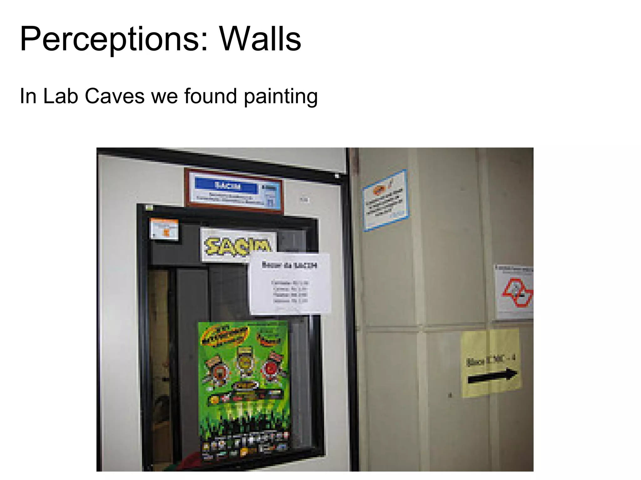 Perceptions: Walls
In Lab Caves we found painting
 