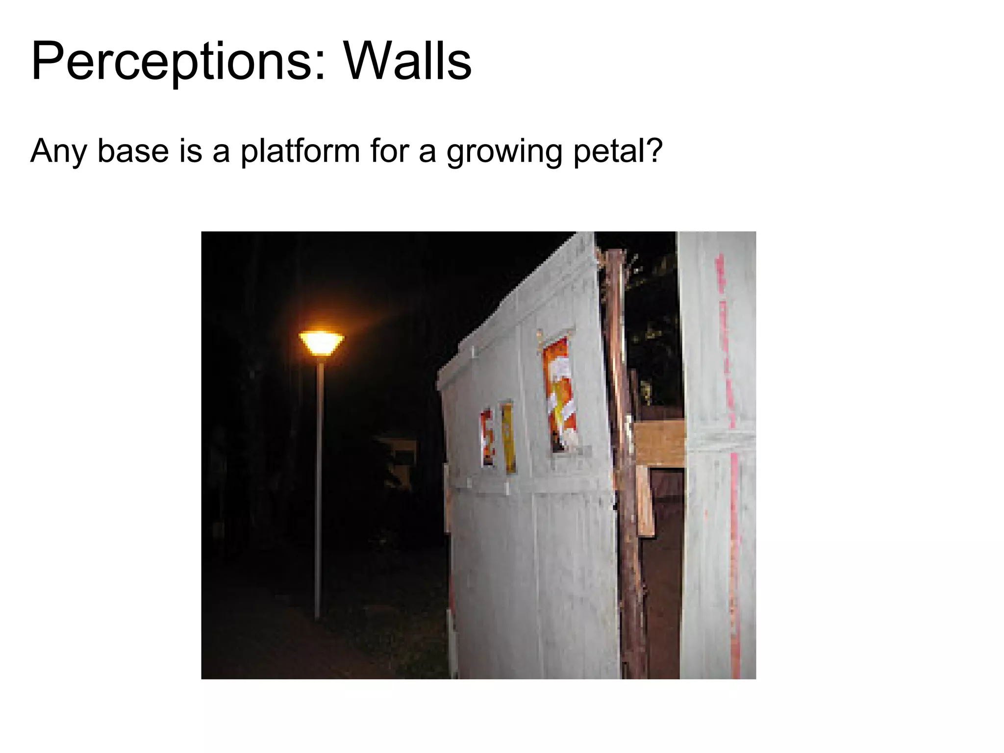 Perceptions: Walls
Any base is a platform for a growing petal?
 