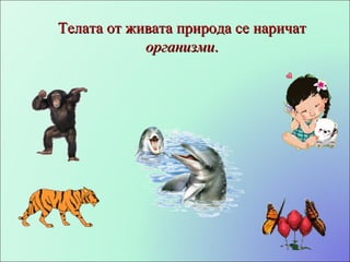 Телата от живата природа се наричат  организми . 
