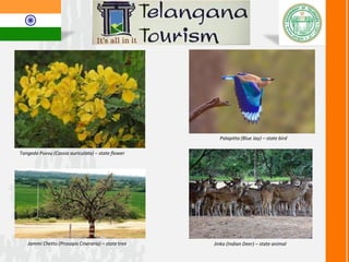 Discover Telangana
“Hop on, Hop Off” Tourism buses
Introduced May 2015
Obelisk of Nizam’s French General
Michel Raymond, Hyderabad
 