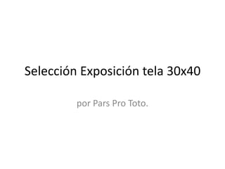 Selección Exposición tela 30x40

         por Pars Pro Toto.
 