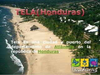 Tela Es una ciudad y puerto del
departamento de Atlántida en la
república deHonduras.
 