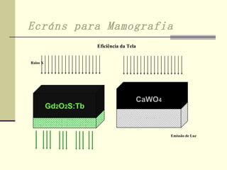 Ecráns para Mamografia   Gd 2 O 2 S:Tb Raios X Eficiência da Tela CaWO 4 Emissão de Luz 