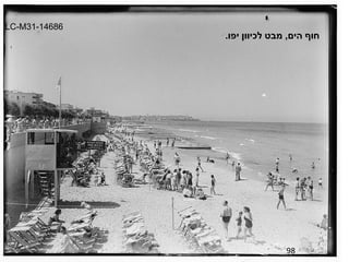 98 חוף הים ,  מבט לכיוון יפו . LC-M31-14686 