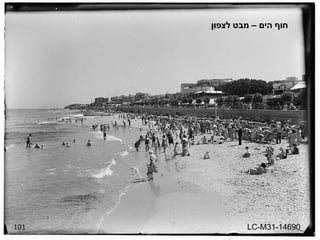 101 חוף הים – מבט לצפון LC-M31-14690 