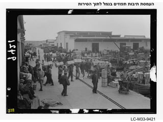 128 העמסת תיבות תפוזים בנמל לתוך הסירות LC-M33-9421 