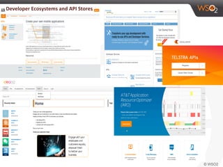 Developer	
  Ecosystems	
  and	
  API	
  Stores	
  
 