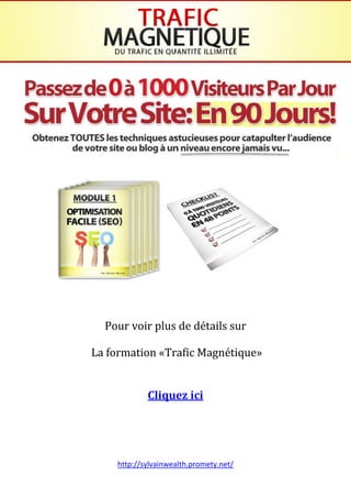 http://sylvainwealth.promety.net/
Pour voir plus de détails sur
La formation «Trafic Magnétique»
Cliquez ici
 