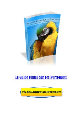 Le Guide Ultime Sur Les Perroquets
 