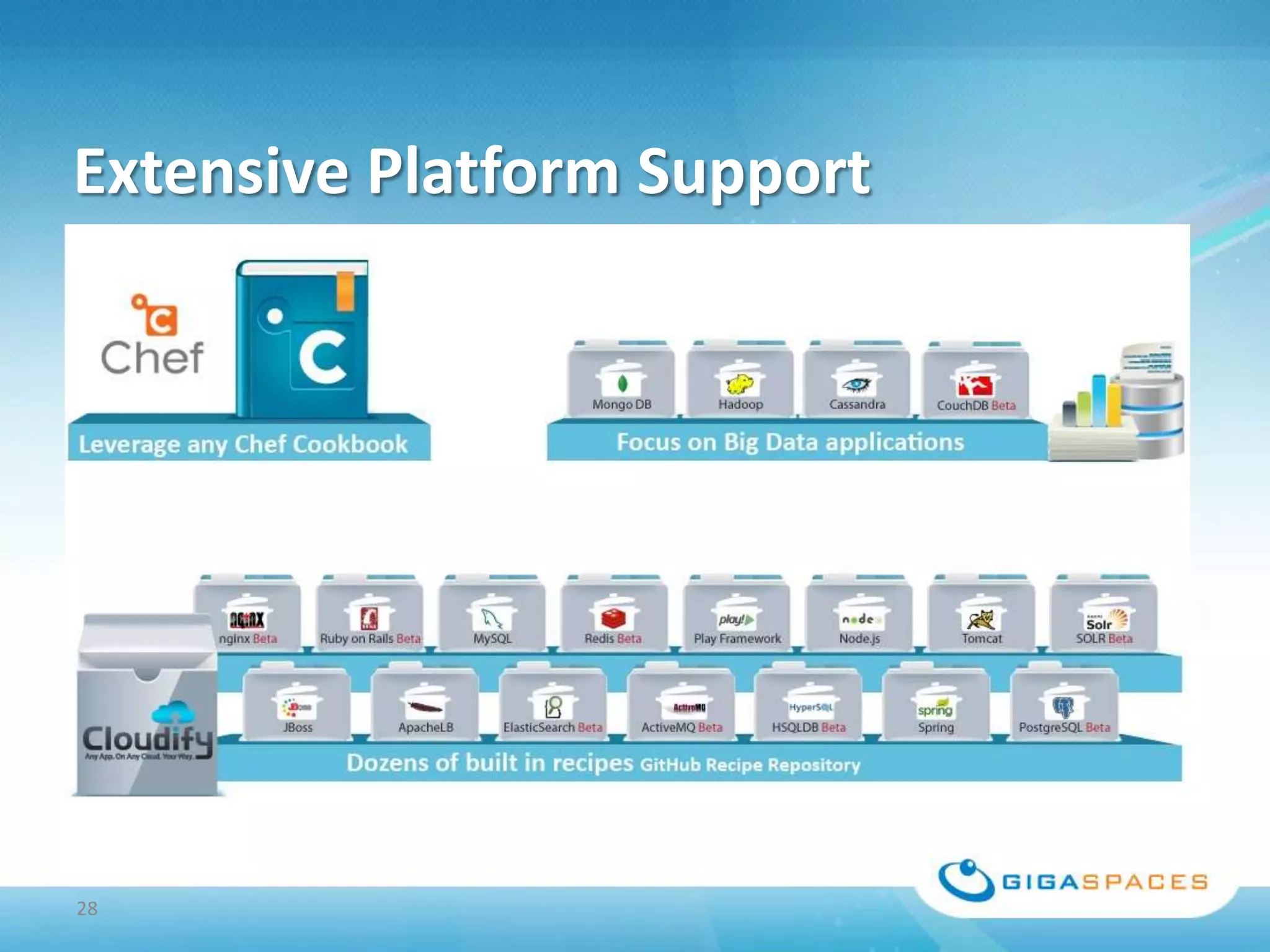 Extensive Platform Support




28
 