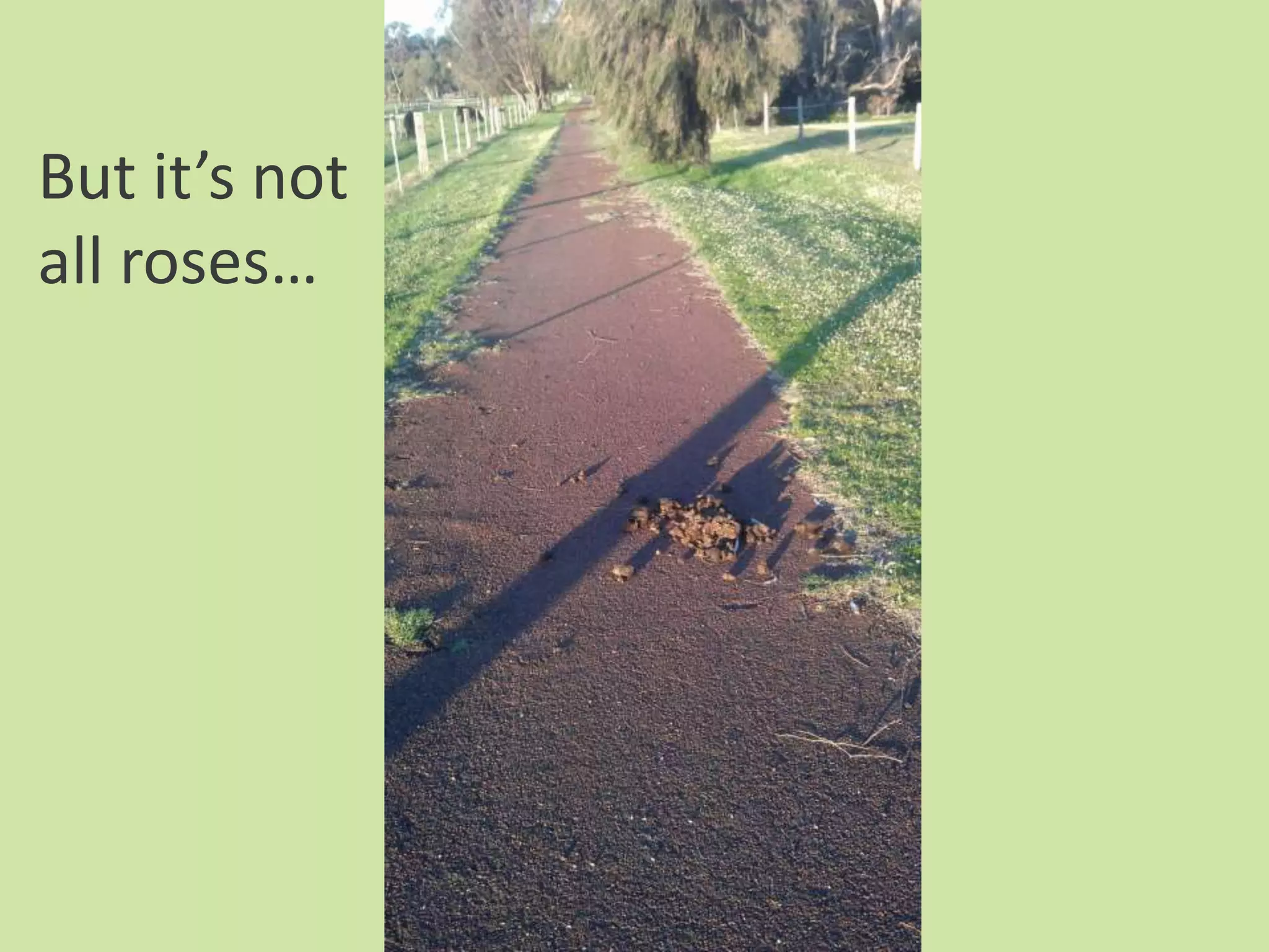 But it’s not
all roses…
 