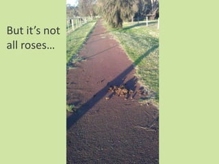 But it’s not
all roses…
 