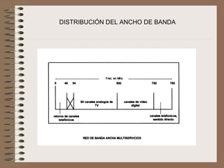 DISTRIBUCIÓN DEL ANCHO DE BANDA
 