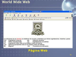 World Wide Web




             Página Web
                          43
 
