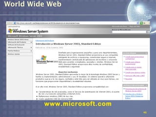 World Wide Web




         www.microsoft.com
                             46
 