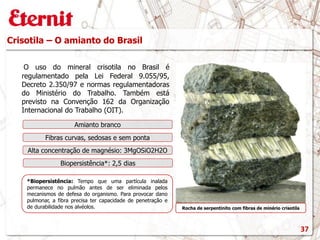 Crisotila – O amianto do Brasil
O uso do mineral crisotila no Brasil é
regulamentado pela Lei Federal 9.055/95,
Decreto 2.350/97 e normas regulamentadoras
do Ministério do Trabalho. Também está
previsto na Convenção 162 da Organização
Internacional do Trabalho (OIT).
Rocha de serpentinito com fibras de minério crisotila
Amianto branco
Fibras curvas, sedosas e sem ponta
Alta concentração de magnésio: 3MgOSiO2H2O
Biopersistência*: 2,5 dias
*Biopersistência: Tempo que uma partícula inalada
permanece no pulmão antes de ser eliminada pelos
mecanismos de defesa do organismo. Para provocar dano
pulmonar, a fibra precisa ter capacidade de penetração e
de durabilidade nos alvéolos.
37
 