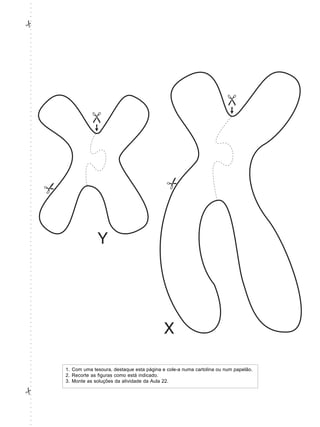 ○
○
○
○
#
○
○
○
○
○
○
○
○
○
○
○
○
○
○
○
○
○
○
○
○
○
○
○
○
○
○
○
○
○
○
○
○
○
○
○
○
○
○
○
○
○
○
○
○
○
○
○
○
○
○
○
○
○
○
○
○
○
○
○
○
○
○
○
○
○
○
○
○
○
○
○
○
○
○
○
○
○
○
○
○
○




    1. Com uma tesoura, destaque esta página e cole-a numa cartolina ou num papelão.
○




    2. Recorte as figuras como está indicado.
○
○




    3. Monte as soluções da atividade da Aula 22.
○
○
#
○
○
○
○
○
○
○
○
○
 