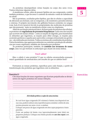 As proteínas desempenham várias funções no corpo dos seres vivos.                                                                   A U L A
Vamos relacionar algumas delas.
     A membrana celular, além de possuir lipídios em sua composição, contém
também proteínas, o que favorece o controle da entrada e saída de substâncias                                                              5
na célula.
     São as proteínas, auxiliadas pelos lipídios, que dão às células a capacidade
de alterarem seu formato, sem se romperem, e de resistirem a pressões internas
e externas. O próprio movimento dos glóbulos brancos existentes no sangue
(veja Aula 4) só é possível devido às propriedades das moléculas de proteínas
que eles possuem, tanto na membrana celular como no citoplasma.
     Além de sua função estrutural (isto é, de fazer parte da estrutura das células),
as proteínas são reguladoras de processos bioquímicos Cada uma das reações
                                              bioquímicos.
que ocorrem em nossas células - como as reações de digestão, para transformar
os alimentos que ingerimos, as reações para obter energia, as reações para
acumular gorduras e aquelas para aproveitar a energia armazenada nas gordu-
ras - são realizadas por enzimas. Todas as enzimas são constituídas de proteínas.
Vários hormônios, que agem para estimular ou controlar a produção de substân-
cias por nosso organismo, também são formados por proteínas.
     As proteínas participam, também, do combate aos invasores de nosso
corpo uma vez que formam os anticorpos que atuam em nossa defesa.
corpo,

                                                       Você sabia?
   Que o cabelo é uma proteína? E que os cabelos encaracolados possuem
maior quantidade de aminoácidos com enxofre do que os cabelos lisos?


    Formamos as nossas proteínas, específicas para cada função, a partir da
transformação das proteínas que ingerimos com os alimentos.


Exercício 11                                                                                                                             Exercícios
   Cite duas funções de nosso organismo que ficariam prejudicadas se deixás-
   semos de ingerir proteínas em nossas refeições.
    ..................................................................................................................................
    ..................................................................................................................................
    ..................................................................................................................................
    ..................................................................................................................................



                                     Atividade prática: a ação de uma enzima

              Se você tiver água oxigenada (10 volumes) e batata crua disponível em
              sua casa, poderá realizar uma experiência para constatar o efeito de uma
              enzima presente nos seres vivos: a catalase.
              Coloque um pouco de água oxigenada em dois copos pequenos e trans-
              parentes.
              Corte um pedaço de batata crua (aproximadamente meia fatia) em
              pequenos pedaços. Coloque essa batata picada em um dos copos com
              água oxigenada.
 