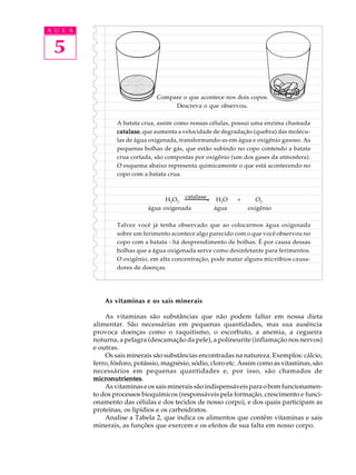 A U L A


 5

                                Compare o que acontece nos dois copos.
                                     Descreva o que observou.

                  A batata crua, assim como nossas células, possui uma enzima chamada
                  catalase que aumenta a velocidade de degradação (quebra) das molécu-
                  catalase,
                  las de água oxigenada, transformando-as em água e oxigênio gasoso. As
                  pequenas bolhas de gás, que estão subindo no copo contendo a batata
                  crua cortada, são compostas por oxigênio (um dos gases da atmosfera).
                  O esquema abaixo representa quimicamente o que está acontecendo no
                  copo com a batata crua.



                                   H2O2 catalase
                                               ® H2O         +      O2
                             água oxigenada      água            oxigênio

                  Talvez você já tenha observado que ao colocarmos água oxigenada
                  sobre um ferimento acontece algo parecido com o que você observou no
                  copo com a batata - há desprendimento de bolhas. É por causa dessas
                  bolhas que a água oxigenada serve como desinfetante para ferimentos.
                  O oxigênio, em alta concentração, pode matar alguns micróbios causa-
                  dores de doenças.




              As vitaminas e os sais minerais

              As vitaminas são substâncias que não podem faltar em nossa dieta
          alimentar. São necessárias em pequenas quantidades, mas sua ausência
          provoca doenças como o raquitismo, o escorbuto, a anemia, a cegueira
          noturna, a pelagra (descamação da pele), a polineurite (inflamação nos nervos)
          e outras.
              Os sais minerais são substâncias encontradas na natureza. Exemplos: cálcio,
          ferro, fósforo, potássio, magnésio, sódio, cloro etc. Assim como as vitaminas, são
          necessários em pequenas quantidades e, por isso, são chamados de
          micronutrientes.
          micronutrientes
              As vitaminas e os sais minerais são indispensáveis para o bom funcionamen-
          to dos processos bioquímicos (responsáveis pela formação, crescimento e funci-
          onamento das células e dos tecidos de nosso corpo), e dos quais participam as
          proteínas, os lipídios e os carboidratos.
              Analise a Tabela 2, que indica os alimentos que contêm vitaminas e sais
          minerais, as funções que exercem e os efeitos de sua falta em nosso corpo.
 