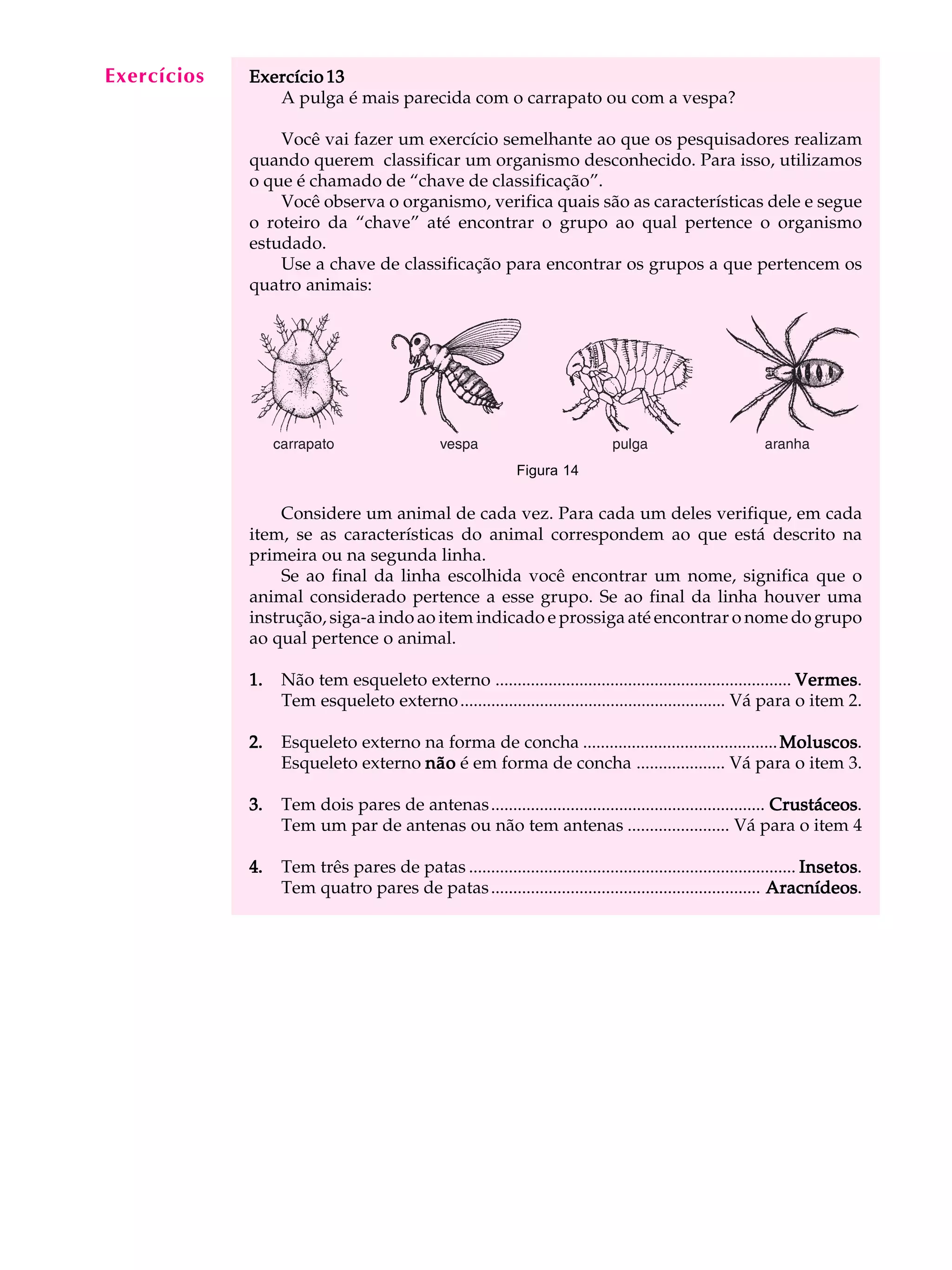 Exercícios
  A U L A    Exercício 13
                A pulga é mais parecida com o carrapato ou com a vespa?

  36             Você vai fazer um exercício semelhante ao que os pesquisadores realizam
             quando querem classificar um organismo desconhecido. Para isso, utilizamos
             o que é chamado de “chave de classificação”.
                 Você observa o organismo, verifica quais são as características dele e segue
             o roteiro da “chave” até encontrar o grupo ao qual pertence o organismo
             estudado.
                 Use a chave de classificação para encontrar os grupos a que pertencem os
             quatro animais:




                                                             Figura 14


                 Considere um animal de cada vez. Para cada um deles verifique, em cada
             item, se as características do animal correspondem ao que está descrito na
             primeira ou na segunda linha.
                 Se ao final da linha escolhida você encontrar um nome, significa que o
             animal considerado pertence a esse grupo. Se ao final da linha houver uma
             instrução, siga-a indo ao item indicado e prossiga até encontrar o nome do grupo
             ao qual pertence o animal.

             1.   Não tem esqueleto externo ................................................................... Vermes
                                                                                                                Vermes.
                  Tem esqueleto externo ............................................................ Vá para o item 2.

             2.   Esqueleto externo na forma de concha ............................................ Moluscos
                                                                                                    Moluscos.
                  Esqueleto externo não é em forma de concha .................... Vá para o item 3.

             3.   Tem dois pares de antenas .............................................................. Crustáceos
                                                                                                           Crustáceos.
                  Tem um par de antenas ou não tem antenas ....................... Vá para o item 4

             4.   Tem três pares de patas .......................................................................... Insetos
                                                                                                                     Insetos.
                  Tem quatro pares de patas ............................................................. Aracnídeos
                                                                                                             Aracnídeos.
 