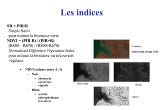 101
Les indices
• NDVI (valeurs entre -1, 1)
– Noir
• absence de
couverture
végétale
– Blanc
• activité
chlorophyllienne
très élevée
SR = PIR/R
Simple Ratio
pour estimer la biomasse verte
NDVI = (PIR-R) / (PIR+R)
(R800 – R670) / (R800+R670)
Normalized Difference Vegetation Index
pour estimer la biomasse verte/couverts
végétaux
 