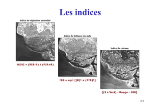 103
Les indices
NDVI = (PIR-R) / (PIR+R)
IBS = sqrt [(R)² + (PIR)²]
[(3 x Vert) - Rouge - 100]
 