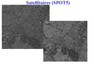 139
Satellitaires (SPOT5)
 
