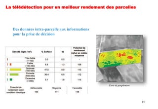 15
Des données intra-parcelle aux informations
pour la prise de décision
La télédétection pour un meilleur rendement des parcelles
Carte de peuplement
 