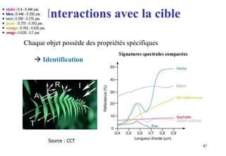 Interactions avec la cible
47
Chaque objet possède des propriétés spécifiques
 Identification
Source : CCT
 