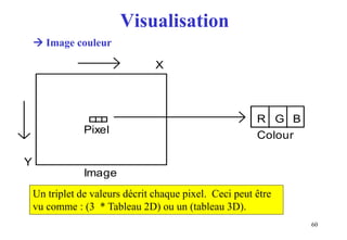 60
Visualisation
Y
X
Pixel
Image
R G B
Colour
Un triplet de valeurs décrit chaque pixel. Ceci peut être
vu comme : (3 * Tableau 2D) ou un (tableau 3D).
 Image couleur
 