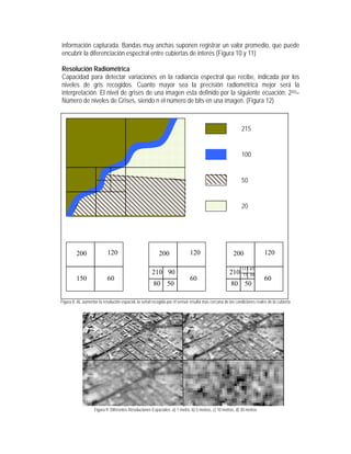 información capturada. Bandas muy anchas suponen registrar un valor promedio, que puede
encubrir la diferenciación espectral entre cubiertas de interés (Figura 10 y 11)
Resolución Radiométrica
Capacidad para detectar variaciones en la radiancia espectral que recibe, indicada por los
niveles de gris recogidos. Cuanto mayor sea la precisión radiométrica mejor será la
interpretación. El nivel de grises de una imagen esta definido por la siguiente ecuación: 2(n)=
Número de niveles de Grises, siendo n el número de bits en una imagen. (Figura 12)
Figura 8. AL aumentar la resolución espacial, la señal recogida por el sensor resulta mas cercana de las condiciones reales de la cubierta
Figura 9. Diferentes Resoluciones Espaciales. a) 1 metro, b) 5 metros, c) 10 metros, d) 30 metros
215
100
50
20
200 120
150 60
200 120
60
210
80
90
50 50
200 120
60
210
80
75
115 45
50
 