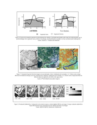 Una Banda
Reflectividad(%)
Tres Bandas
Reflectividad(%)
Vegetación Sana Vegetación Enferma
Figura 10. Efecto de la resolución espectral en la discriminación de cubiertas. Una banda pancromática solo recoge una señal promedio, que no
permite distinguir entre vegetación sana y enferma. Sin embargo, esta discriminación es posible si se hace una observación multiespectral.
Fuente: Chuvieco, E. Teledetección Ambiental
Figura 11. Resolución Espectral. Derecha: Imagen con una sola banda. Centro: Combinación de tres bandas: 3,2,1. Nótese como se logra
diferenciar la turbulencia del agua y las vías o infraestructura. Izquierda: Combinación de tres bandas: 4,5,3. Nósete como se logra discriminar los
diferentes tipos de vegetación y los limites entre agua y tierra.
Fuente: 3rd IUCN World Conservation Congress
Figura 12. Resolución Radiométrica: Comparación en los niveles de grises o niveles digitales (ND) de una imagen. A mayor resolución radiométrica,
mayor diferenciación en las características de las cubiertas presentes en la imagen
Fuente: UNESCO RAPCA, Sistemas de Teledetección
1 bit = 2 ND 2 bit = 4 ND 3 bit = 16 ND 8 bit = 256 ND
 