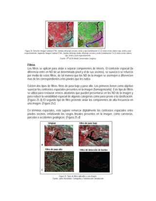 Figura 24. Derecha: Imagen Landsat ETM+, bandas infrarrojo cercano, verde y rojo (combinación 4,3,2) vistas en los colores rojo, verde y azul
respectivamente. Izquierda: Imagen Landsat ETM+, bandas infrarrojo medio, infrarrojo cercano y verde (combinación 7,4,2) vistas en los colores
rojo, verde y azul respectivamente.
Fuente: 3rd IUCN World Conservation Congress
Filtros
Los filtros se aplican para aislar o separar componentes de interés. El contraste espacial (la
diferencia entre en ND de un determinado píxel y el de sus vecinos), se suaviza o se refuerza
por medio de estos filtros, de tal manera que los ND de la imagen se asemejen o diferencien
mas de los correspondientes a los píxeles que les rodea.
Existen dos tipos de filtros: fitros de paso bajo y paso alto. Los primeros tienen como objetivo
suavizar los contrastes espaciales presentes en la imagen (homogenizarla). Este tipo de filtros
se utiliza para restaurar errores aleatorios que pueden presentarse en los ND de la imagen y
para reducir la variabilidad espacial de algunas categorías como paso previo a la clasificación.
(Figura 25 b) El segundo tipo de filtro pretende aislar los componentes de alta frecuencia en
una imagen. (Figura 25c)
En términos espaciales, esto supone remarcar digitalmente los contrastes espaciales entre
píxeles vecinos, enfatizando los rasgos lineales presentes en la imagen, como carreteras,
parcelas o accidentes geológicos. (Figura 25 d)
Figura 25. Tipos de filtros aplicables a una imagen.
Fuente, Jaime Hernández, Cartografía y Teledetección: Introducción
A B
C D
 