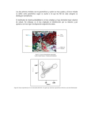 Los dos primeros métodos son no paramétricos y suelen ser mas usados y el tercer método
se define como paramétrico según se asuma o no que los ND de cada categoría se
distribuyen normalmente.
El clasificador de máxima probabilidad es el mas complejo y el que demanda mayor volumen
de calculo. Sin embargo, es el mas empleado en teledetección, por su robustez y por
ajustarse con mas rigor a la disposición original de los datos.
Figura 27. Fase de entrenamiento supervisado
Fuente, Emilio Chuvieco, Teledetección Ambiental
Figura 28. Clases espectrales (A, B, C) en dos bandas diferentes. Se supone que cada clase espectral hace referencia a una clase informacional
B
C
A
Banda 1
Banda2
Agua
Pastos
Área
Forestal
Cultivos de
Rotación
 