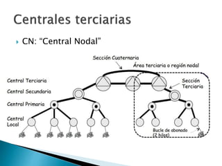  CN: “Central Nodal”
 