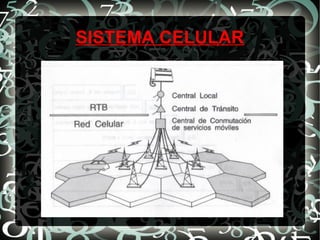 SISTEMA CELULAR

 
