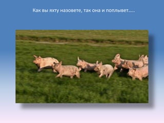 Как вы яхту назовете, так она и поплывет…..
 