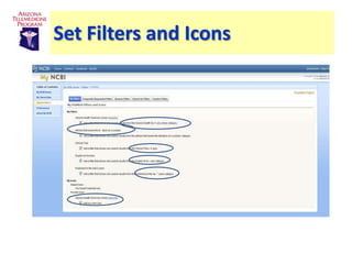 Set Filters and Icons



                v
        v

            v
            v
                v


    v
 